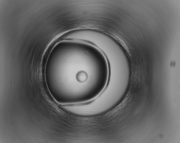 X0000097860784200803281311