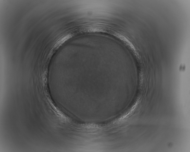 X0000097860785200803281311