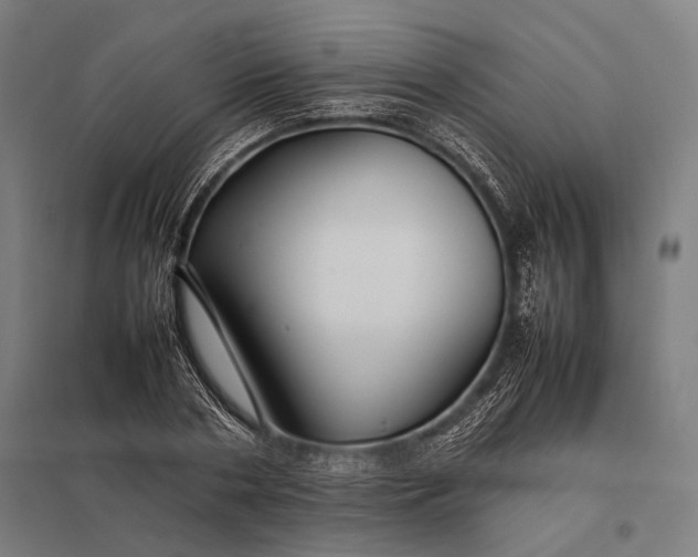 X0000097860786200803281311