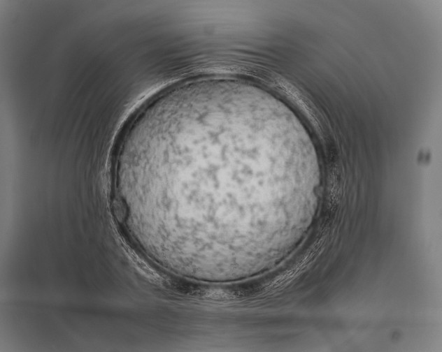 X0000097860787200803281311