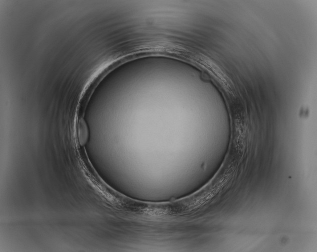 X0000097860788200803281311