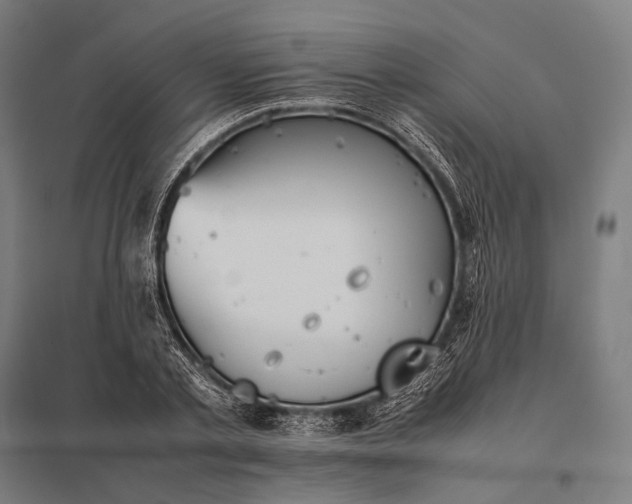 X0000097860789200803281311