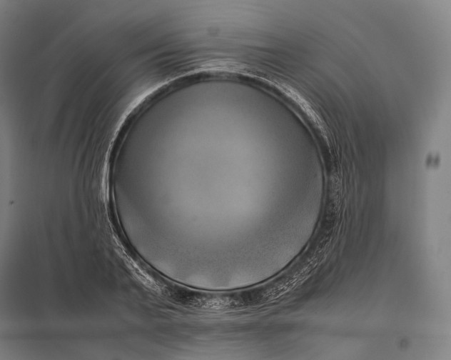 X0000097860791200803281311