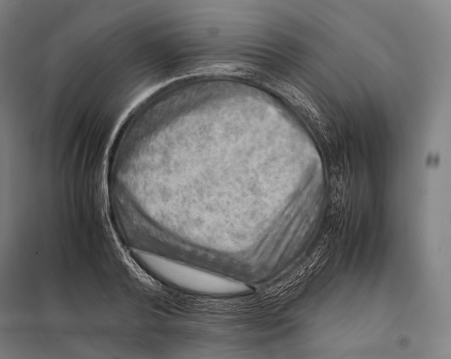 X0000097860792200803281311