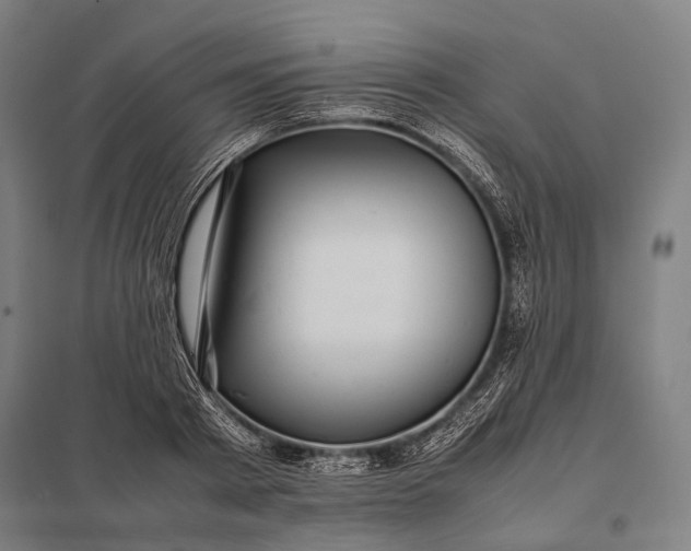 X0000097860793200803281311