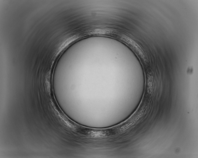 X0000097860794200803281311