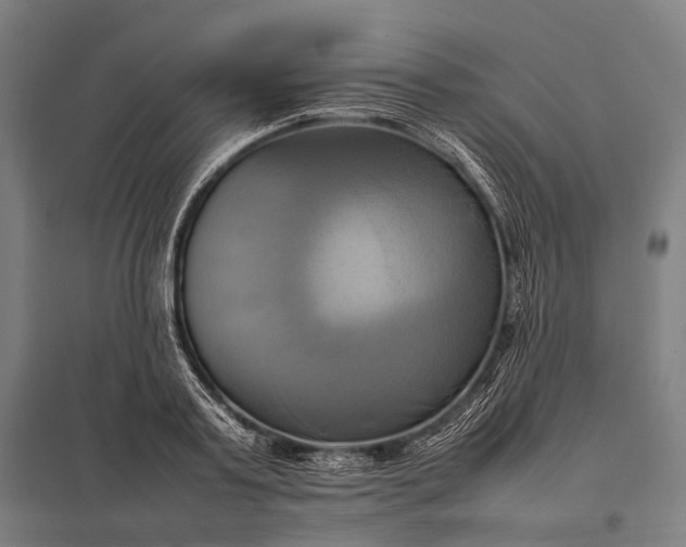 X0000097860795200803281310