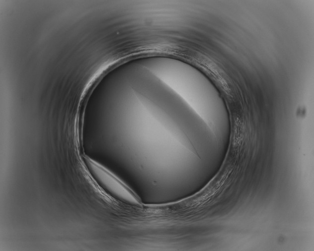 X0000097860796200803281310