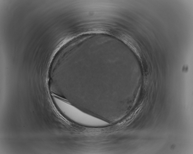 X0000097860797200803281310