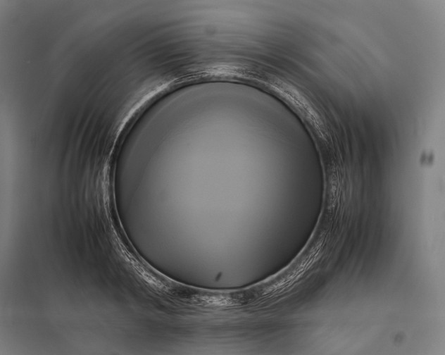 X0000097860798200803281310