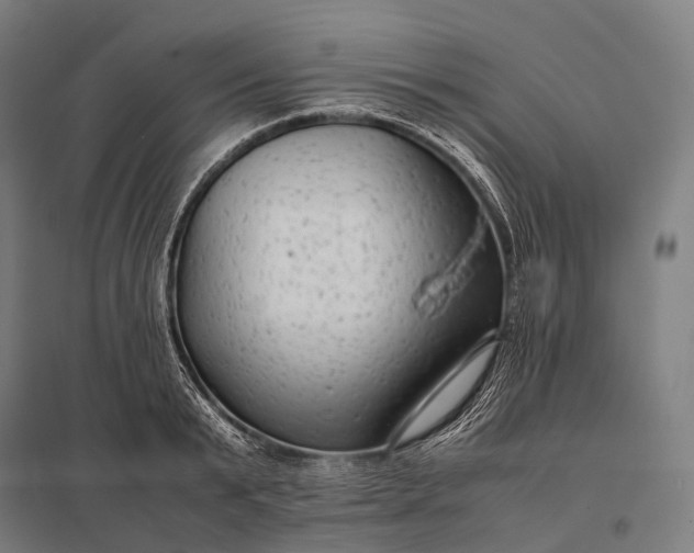 X0000097860799200803281310