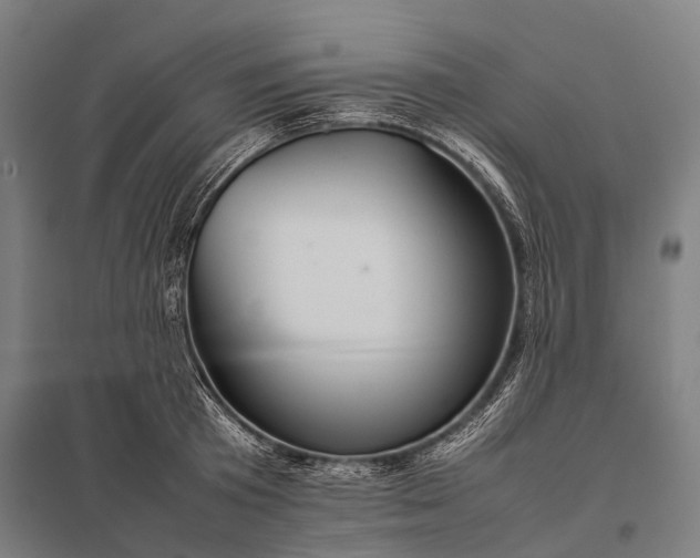 X0000097860801200803281310