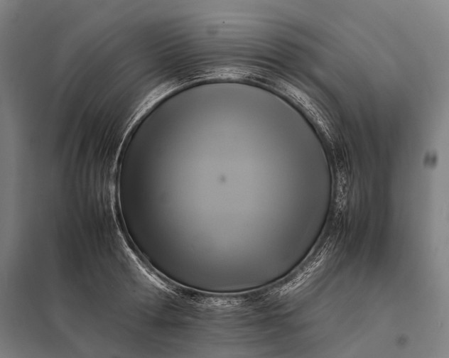 X0000097860802200803281310