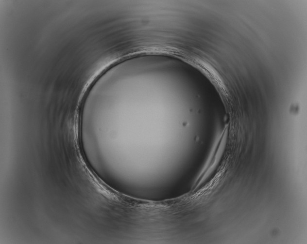 X0000097860804200803281310