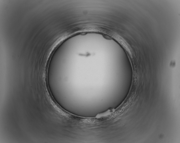 X0000097860805200803281310