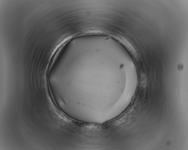 X0000097860806200803281310