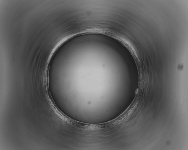 X0000097860808200803281310