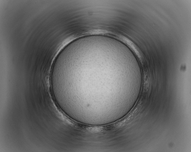 X0000097860810200803281310