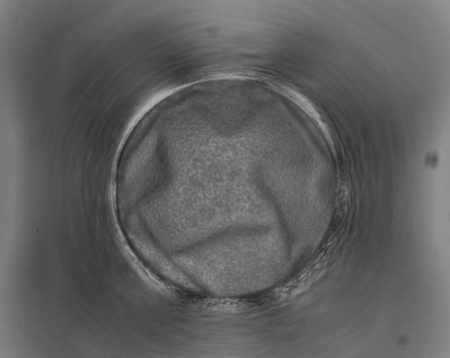 X0000097860811200803281310