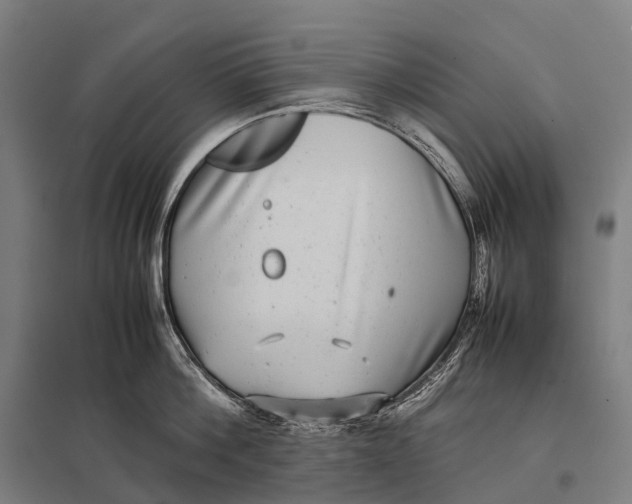 X0000097860812200803281310