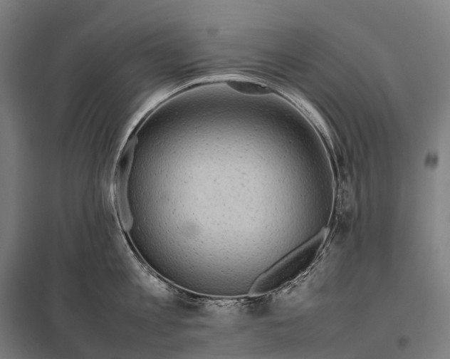 X0000097860813200803281310