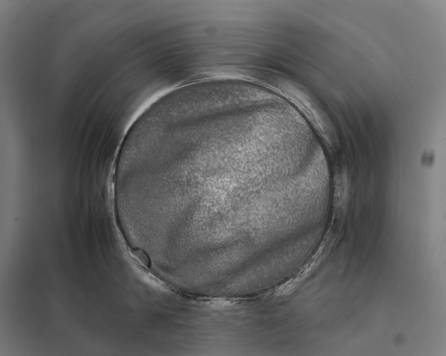 X0000097860814200803281310