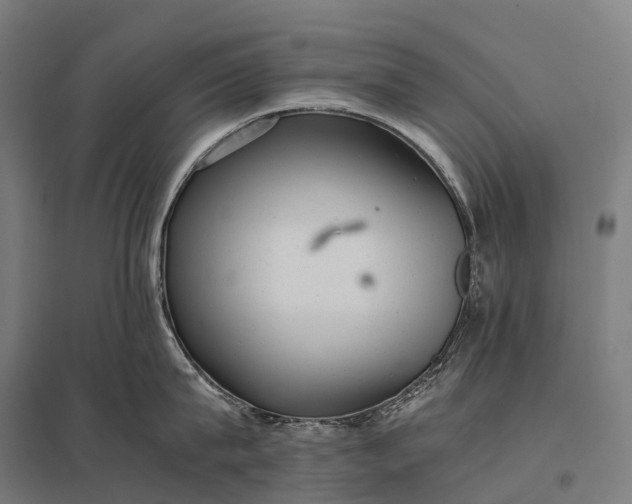 X0000097860815200803281310