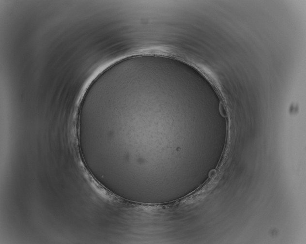 X0000097860816200803281310