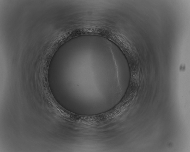 X0000097860817200803281310