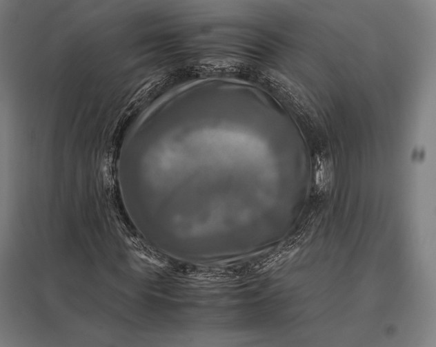 X0000097860819200803281310