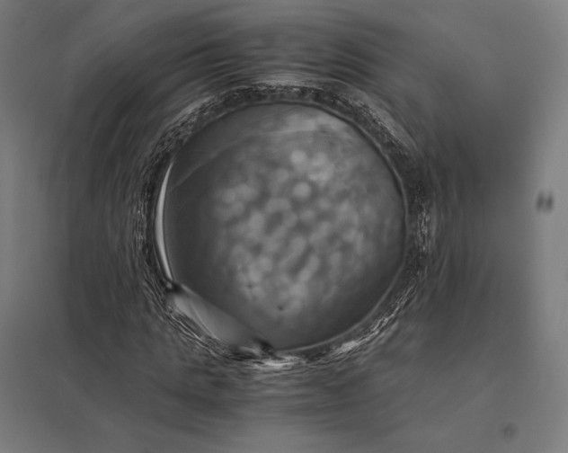 X0000097860821200803281310