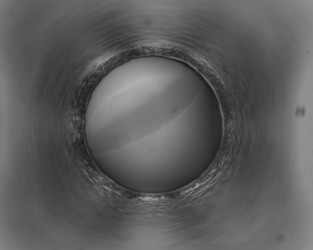 X0000097860822200803281310