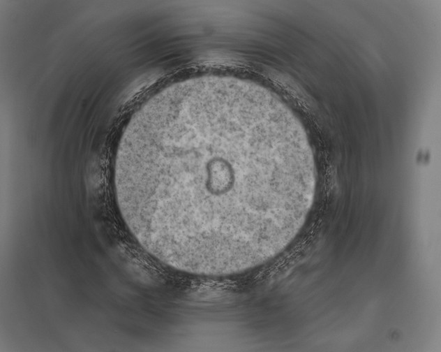 X0000097860824200803281310