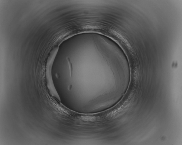 X0000097860825200803281310