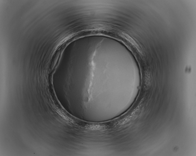 X0000097860826200803281310