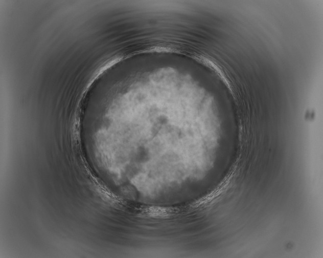 X0000097860827200803281310