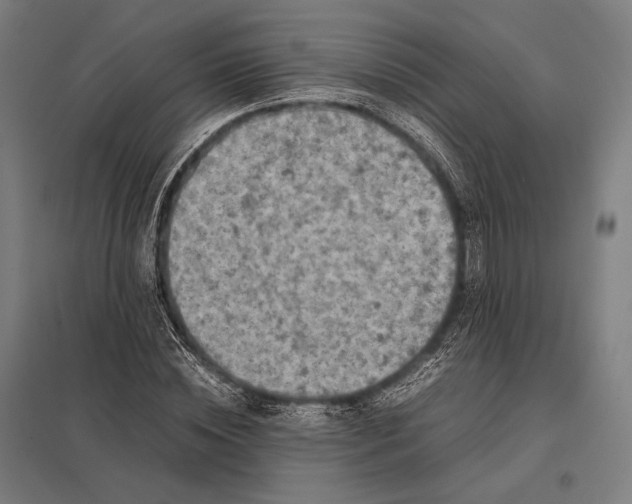 X0000097860828200803281310