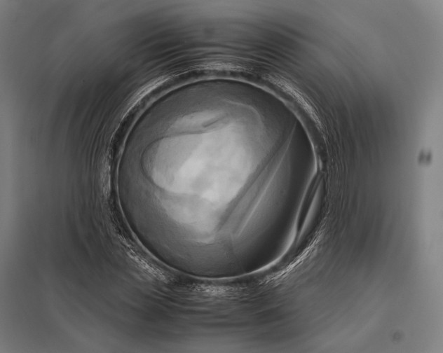 X0000097860829200803281310