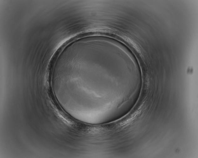 X0000097860830200803281310