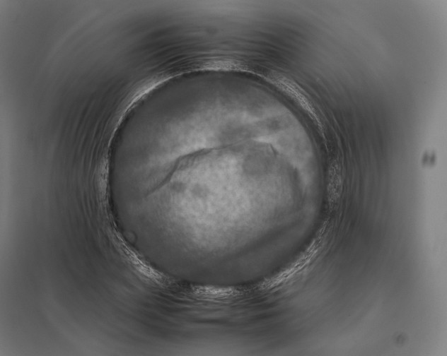 X0000097860831200803281310