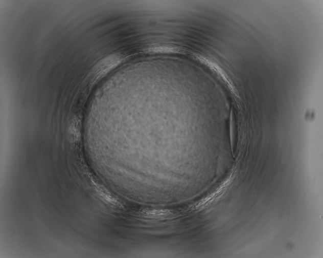 X0000097860833200803281310