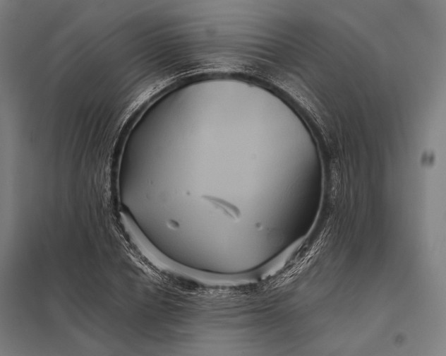 X0000097860834200803281310