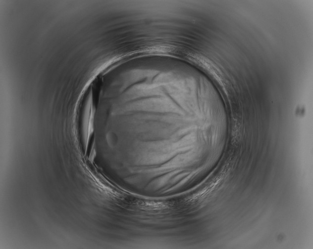 X0000097860835200803281310