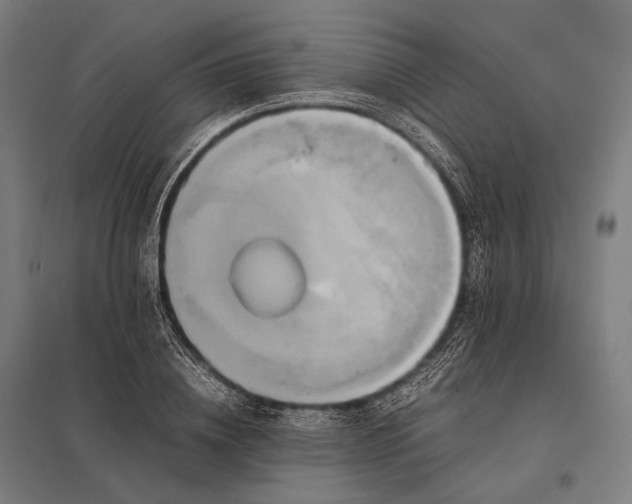 X0000097860836200803281310