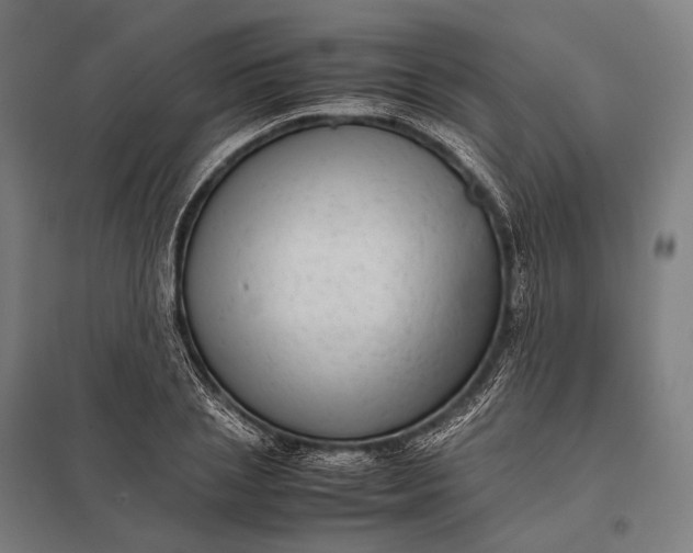 X0000097860837200803281310