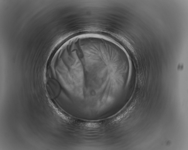 X0000097860839200803281310