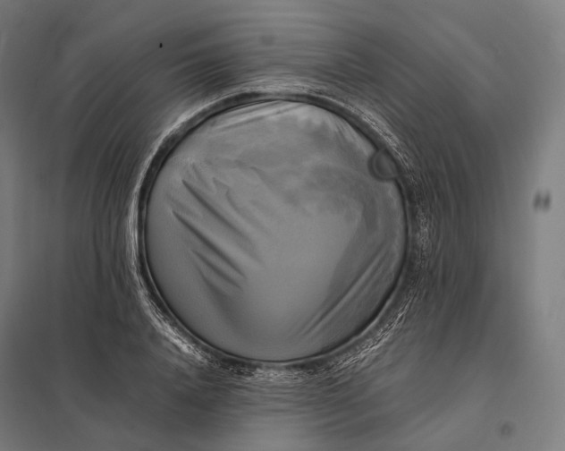 X0000097860840200803281310