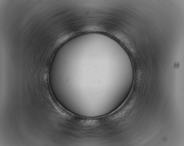 X0000097860841200803281310