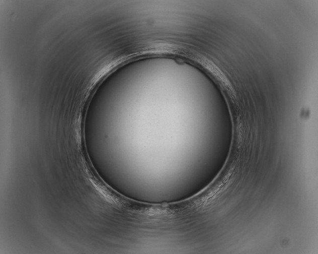 X0000097860842200803281310