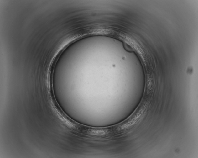 X0000097860843200803281310